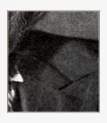 С._Т._Григорьев_frame4.webp