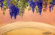 1PR65jTXTzm7ygSwMIe69zSmJ_nuNraVt.webp