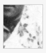 Лидия_Русланова_в_Берлине_в_1945_году_frame5.webp