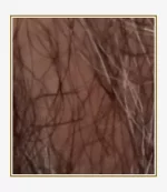 Bezrogov_frame3.webp
